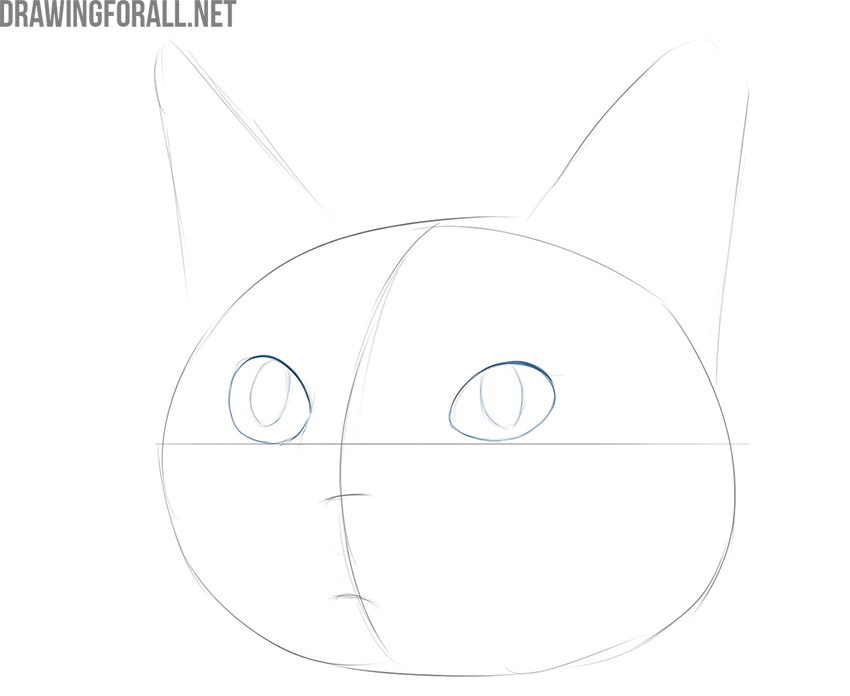 Draw the cute eyes of the cat