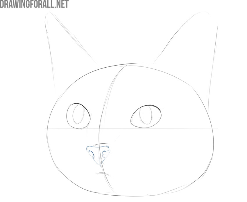 Draw the nose of the cute cat