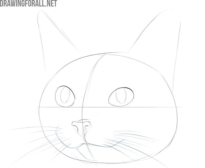 Illustrate the mouth and whiskers