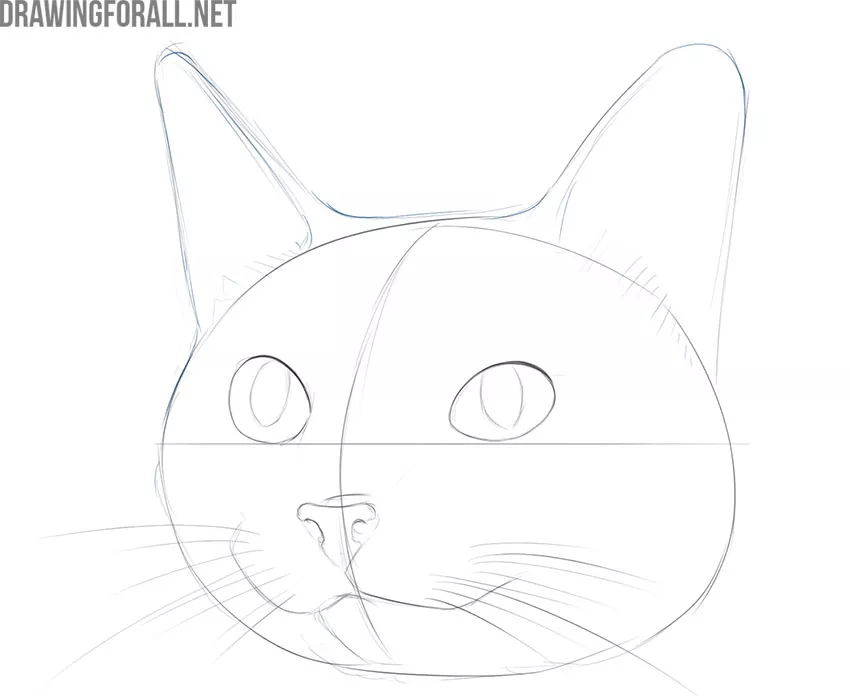 Draw the cute cat ears in detail
