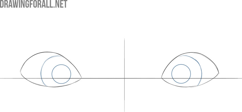 Draw large irises and pupils