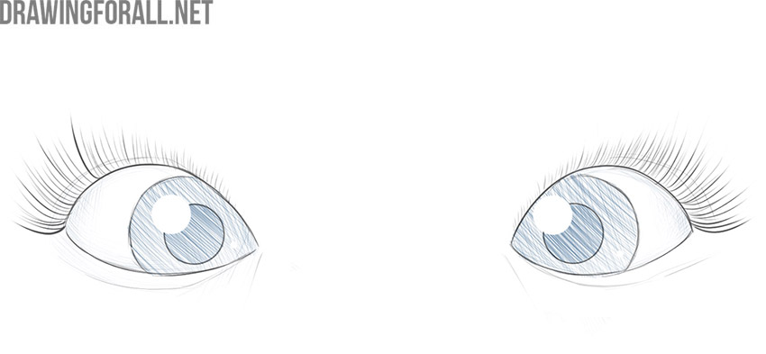 Erase the guides and add shading