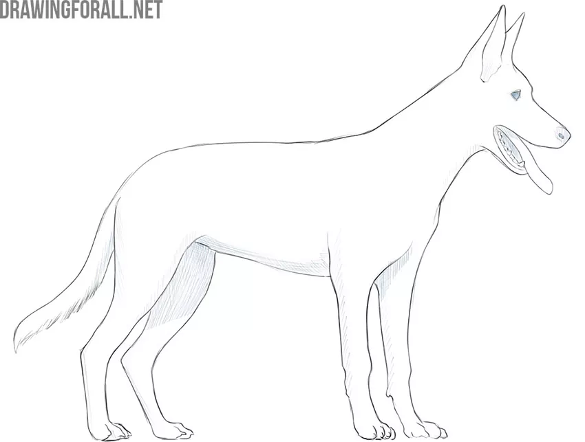 Erase guidelines and place shadows