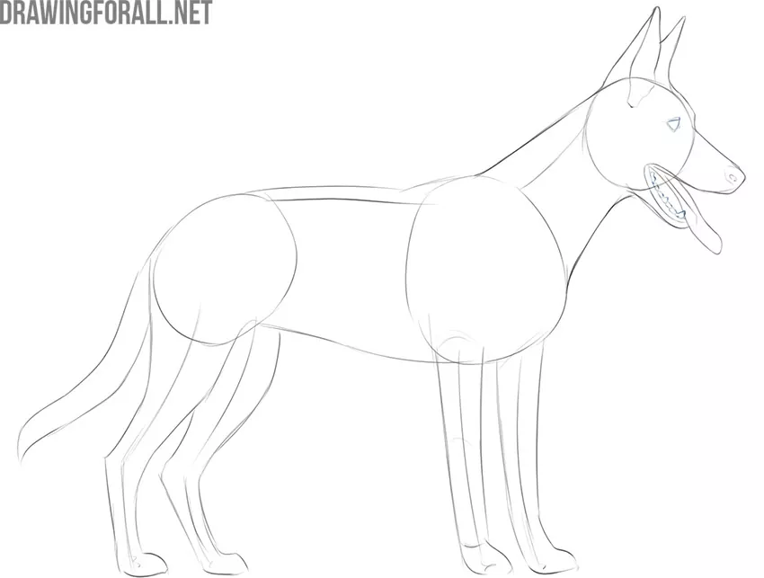 Draw the eye and teeth of the dog