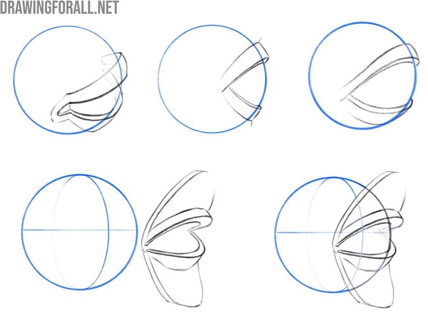 Construction of the eyes and eyelids from different angles