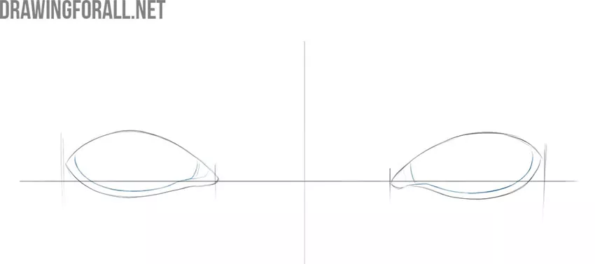 Sketch the inner edges of the lower lids