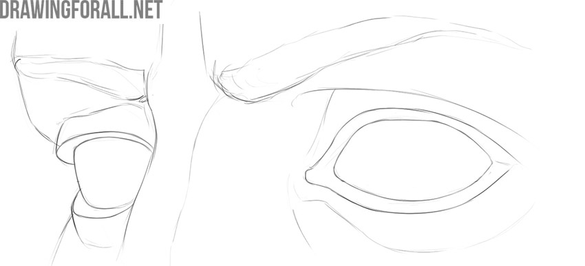Refine the eyes and erase the guidelines