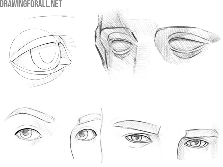 Examples of eyes drawn from the three quarter view