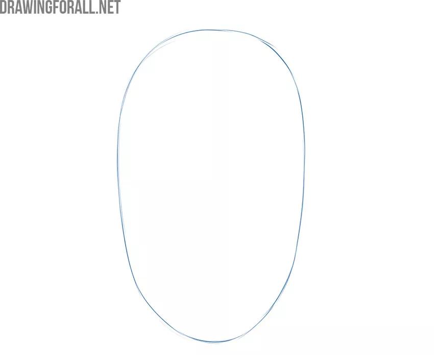 Sketch the Basic Shape of the Face