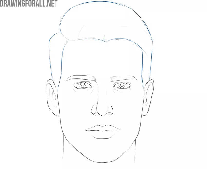 Outline the Hair and Erase the Guidelines