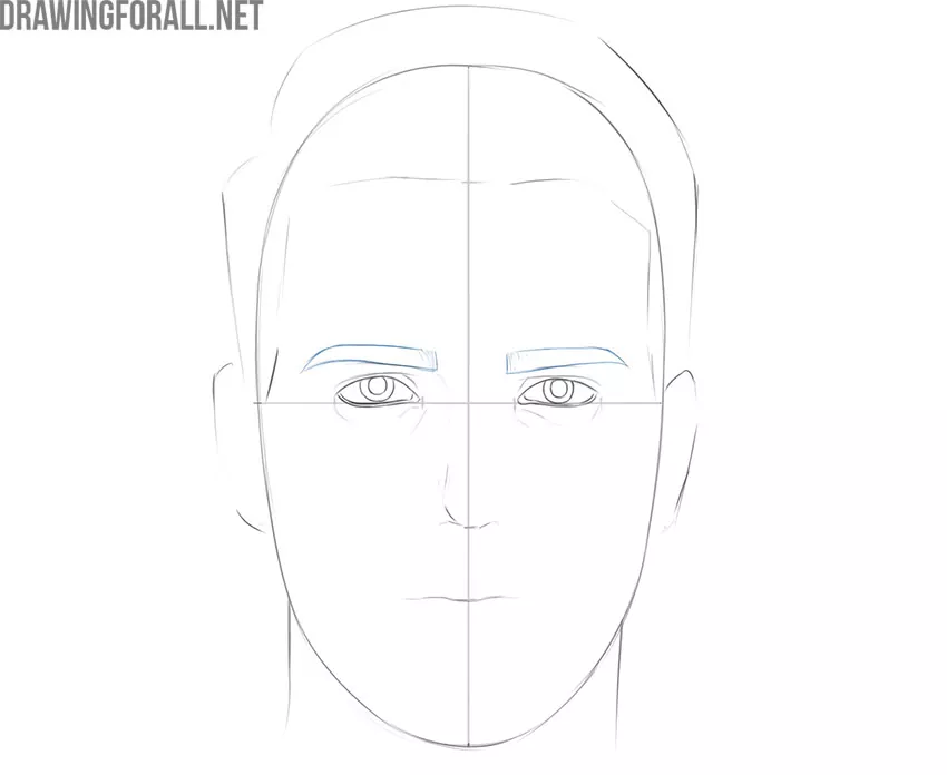 Draw the Eyebrows