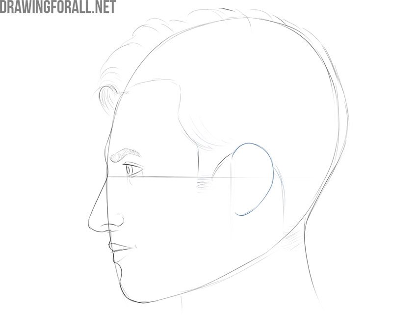 Drawing the outer ear on the side-view face