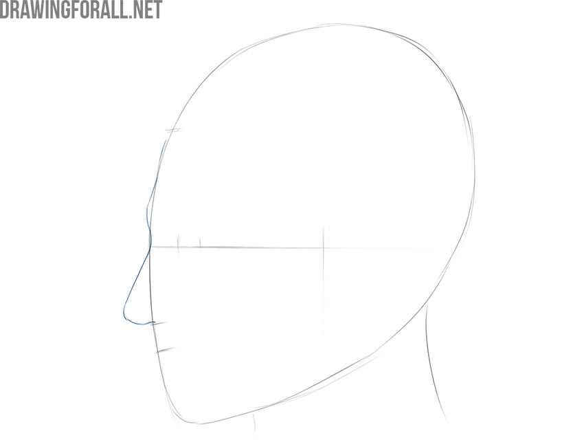 Drawing the forehead, brow ridge, and side-view nose contours