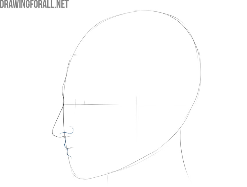 Drawing the nose wing and outlining the lips in side view