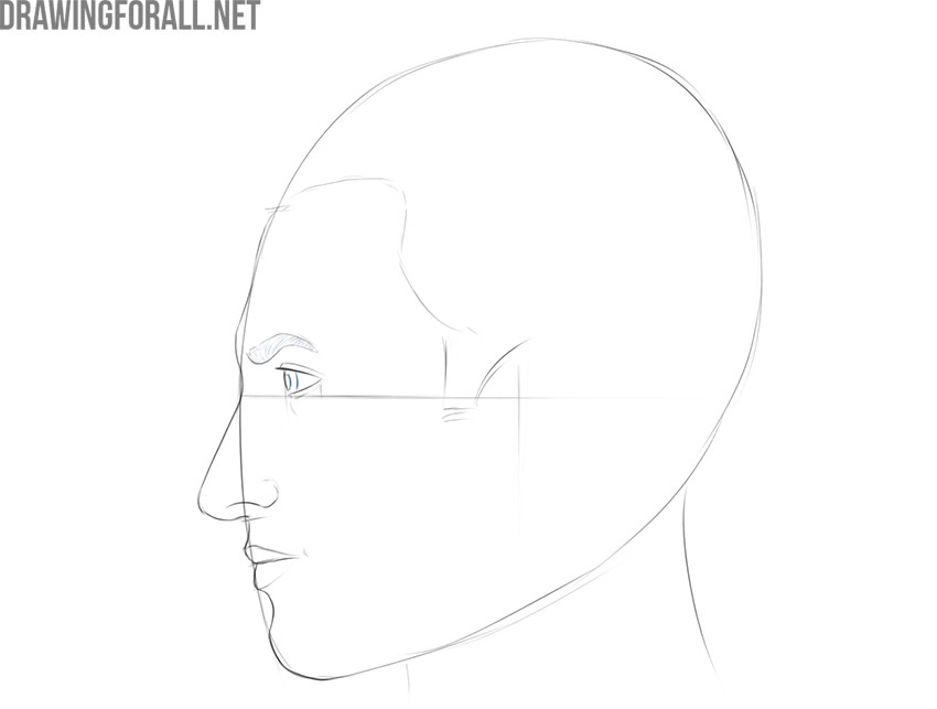 Adding the pupil and short eyebrow hairs to the side-view face