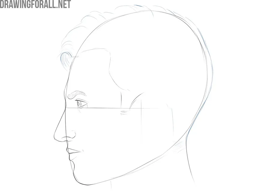 Sketching the hairstyle and flowing hair strands on the side-view face
