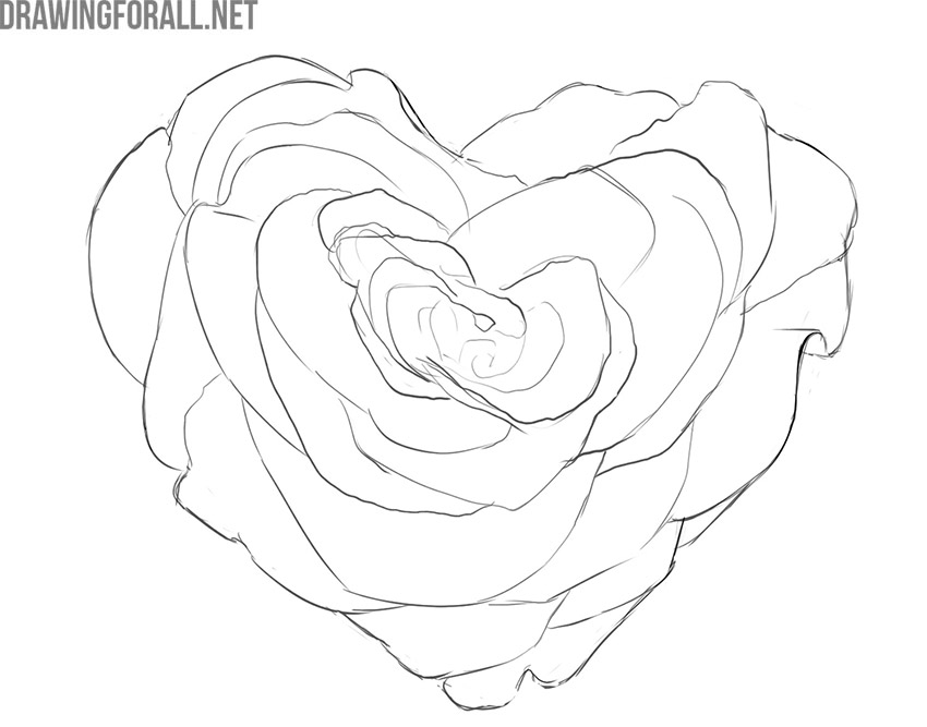 Finished heart-shaped rose drawing with clean petal outlines