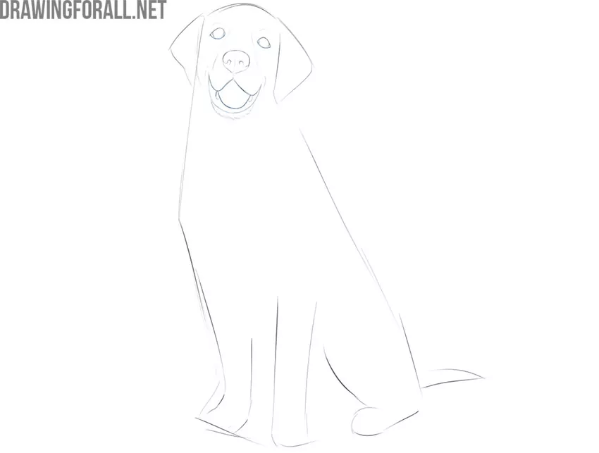 how do you draw a sitting dog