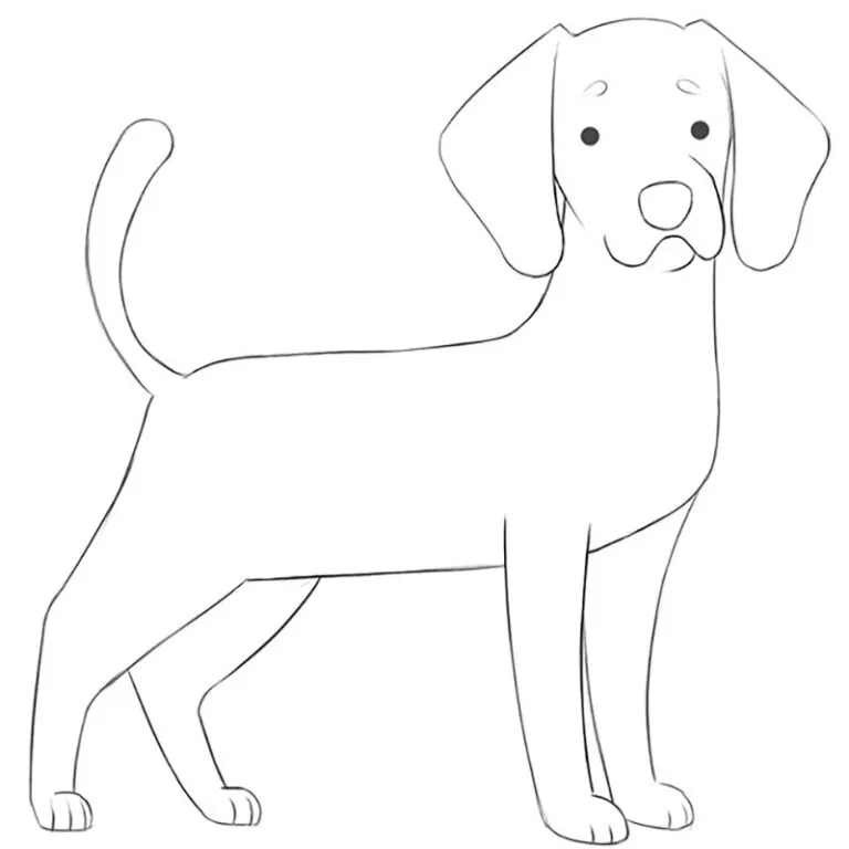 How to Draw a Cartoon Dog