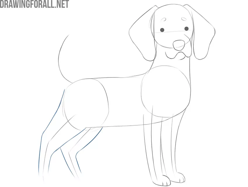 how to draw a cartoon dog face