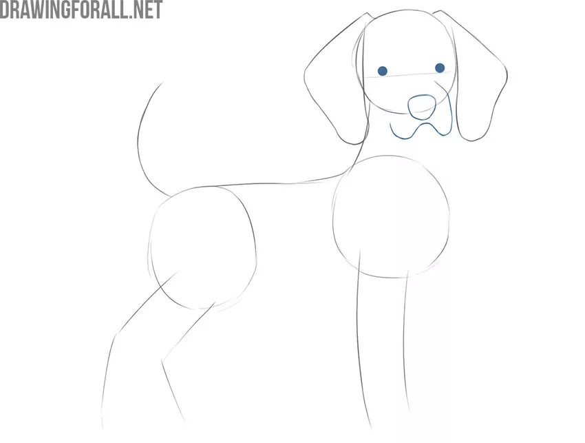 how to draw a cartoon dog head