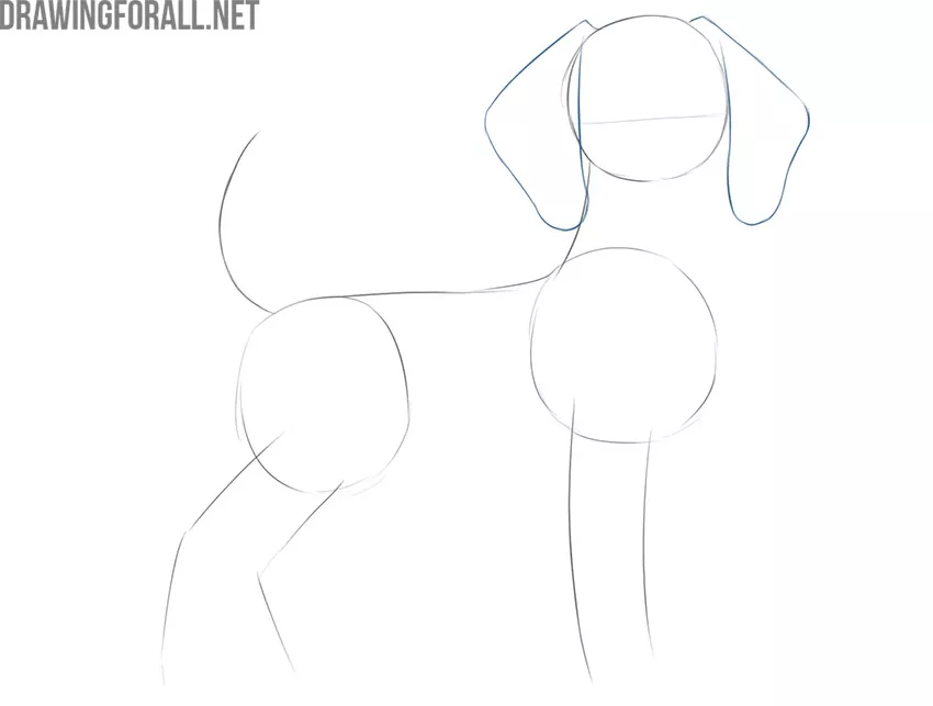 how to draw a cartoon dog step by step for beginners
