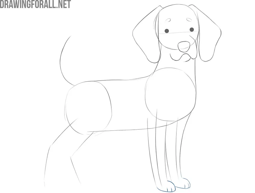 how to draw a cartoon dog step by step