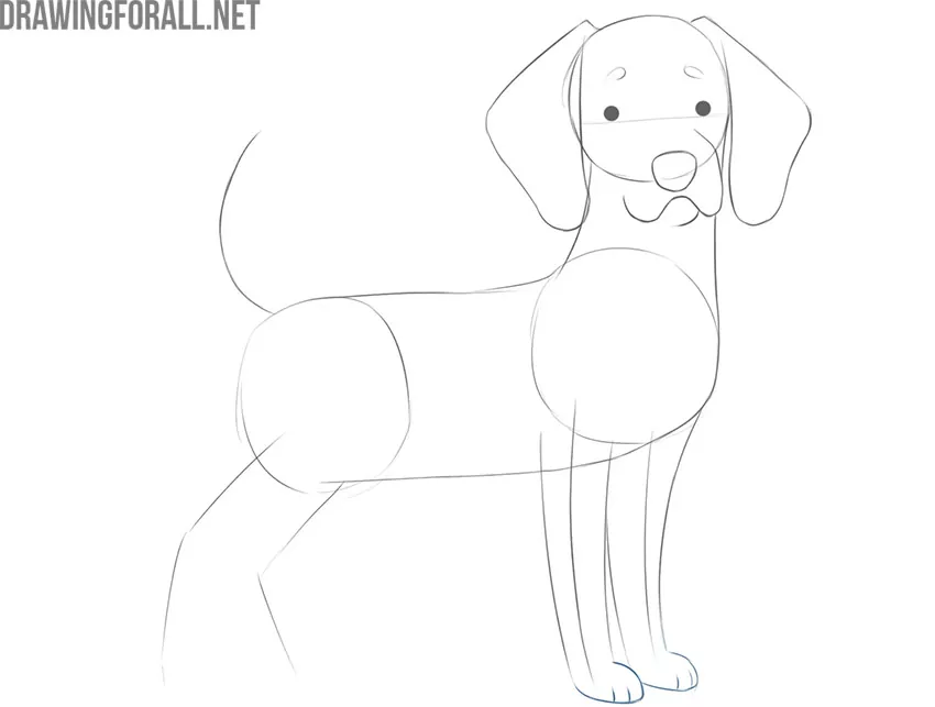 How to Draw a Cartoon Dog How to Draw a Cartoon Dog