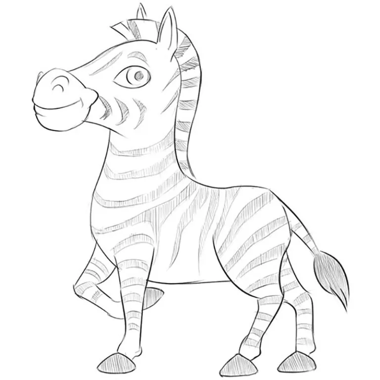 how to draw a cartoon zebra