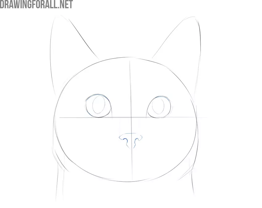 how to draw a cat face for beginners