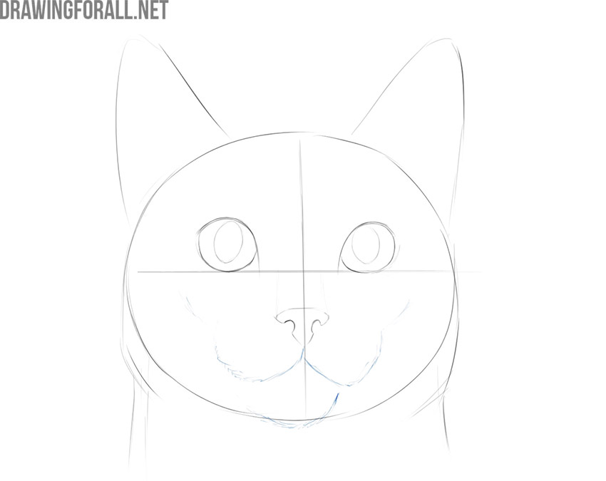 How do you draw a cat face for halloween | ann's blog
