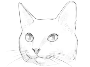 Cute cat head drawing with realistic shadows and highlights in eyes.