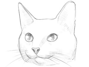 how to draw a cute cat featured image