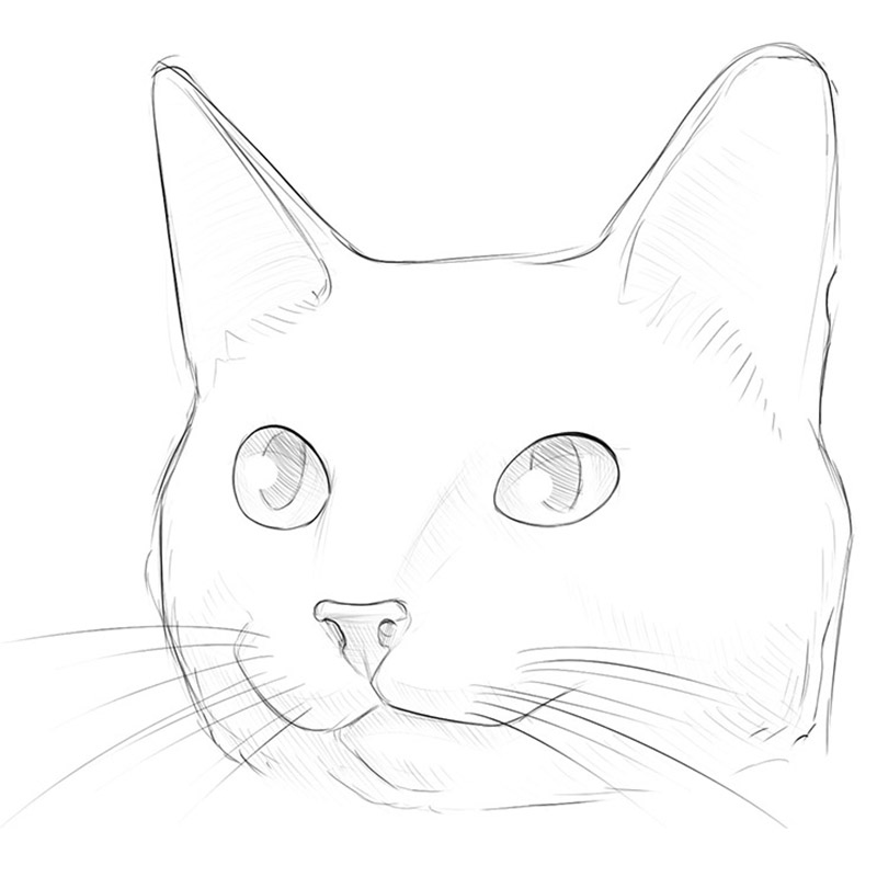 Realistic pencil drawing of a cute little cat on Craiyon-saigonsouth.com.vn