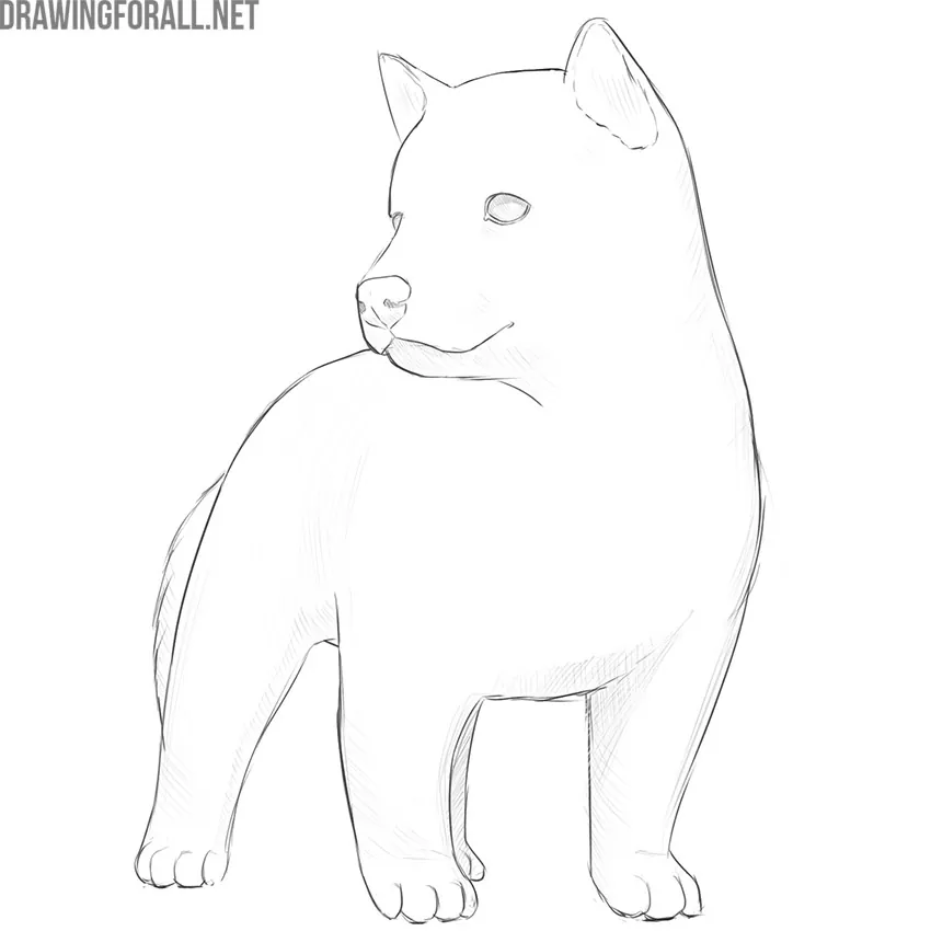 how to draw a cute dog