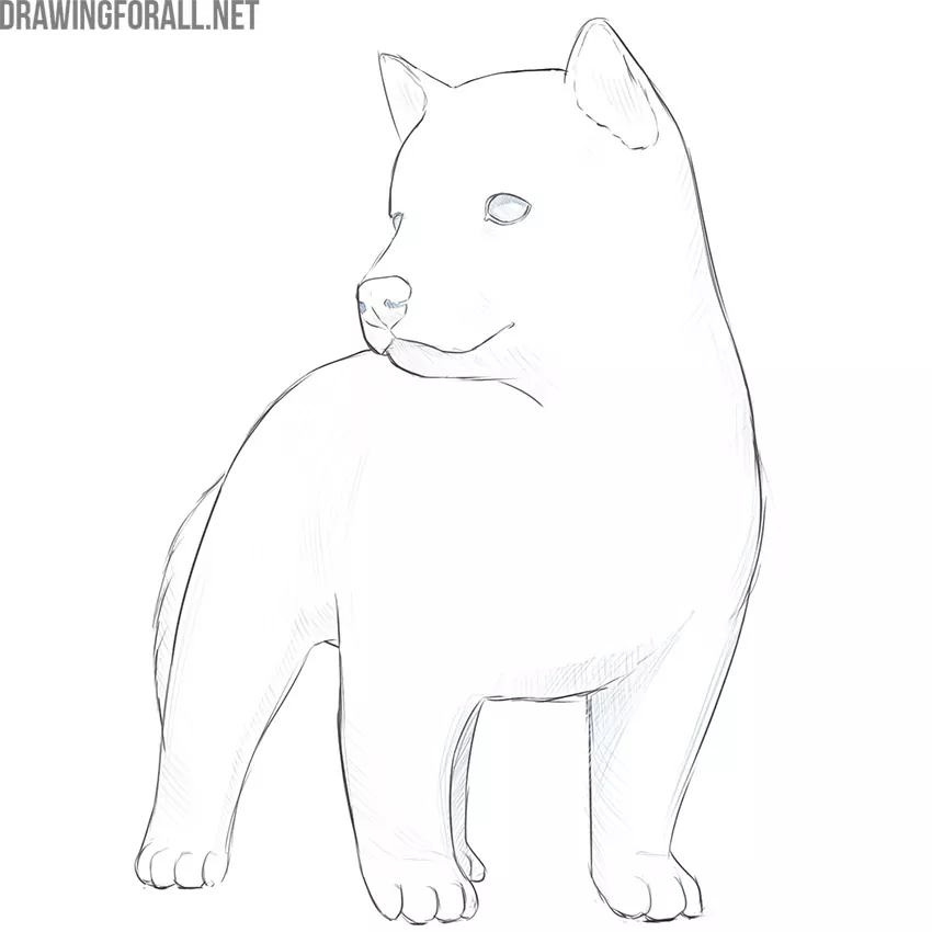 Cute Dogs D Outline - SVG/JPG/PNG Hand Drawing-saigonsouth.com.vn