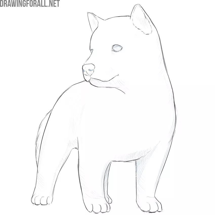 how to draw a cute dog step by step