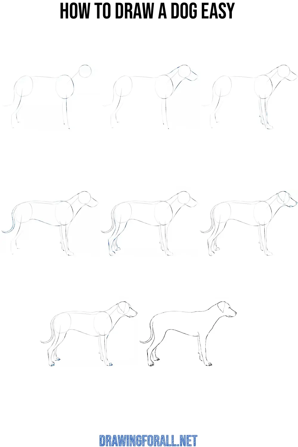 how to draw a dog easy