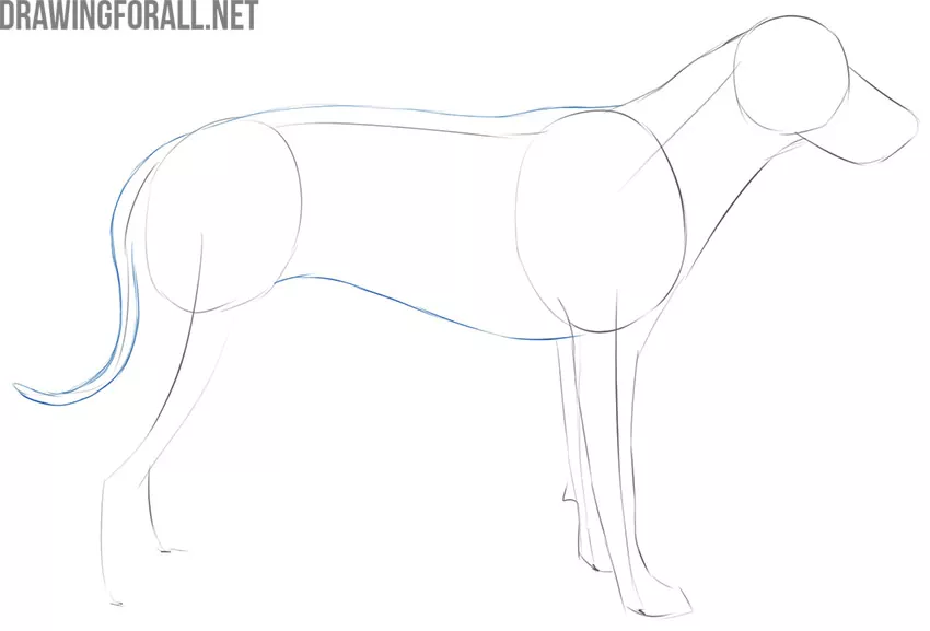  how to draw a dog easy and fast