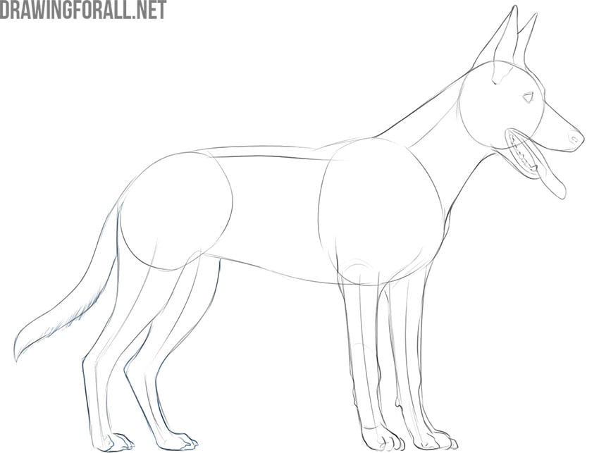 how to draw a dog easy