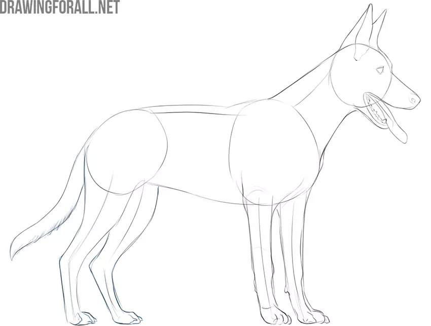 how to draw a dog easy