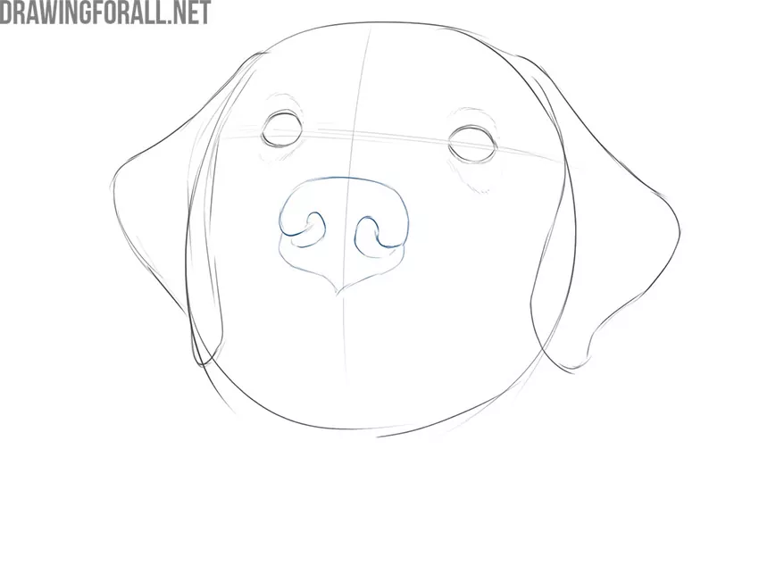 how to draw a dog face for beginners