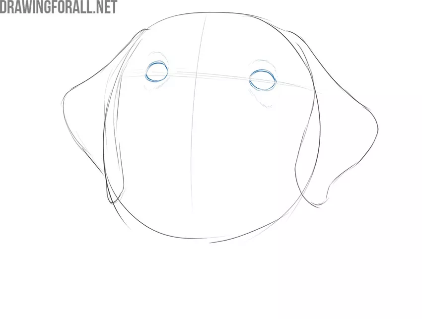 how to draw a dog face step by step easy
