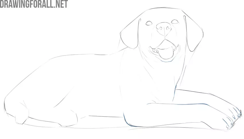 how to draw a dog laying down step by step