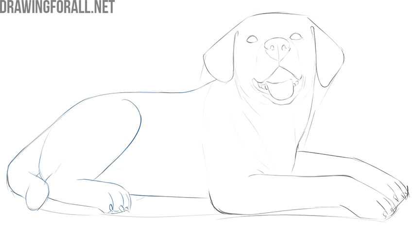 how to draw a dog lying down step by step