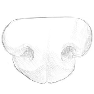 how to draw a dog nose