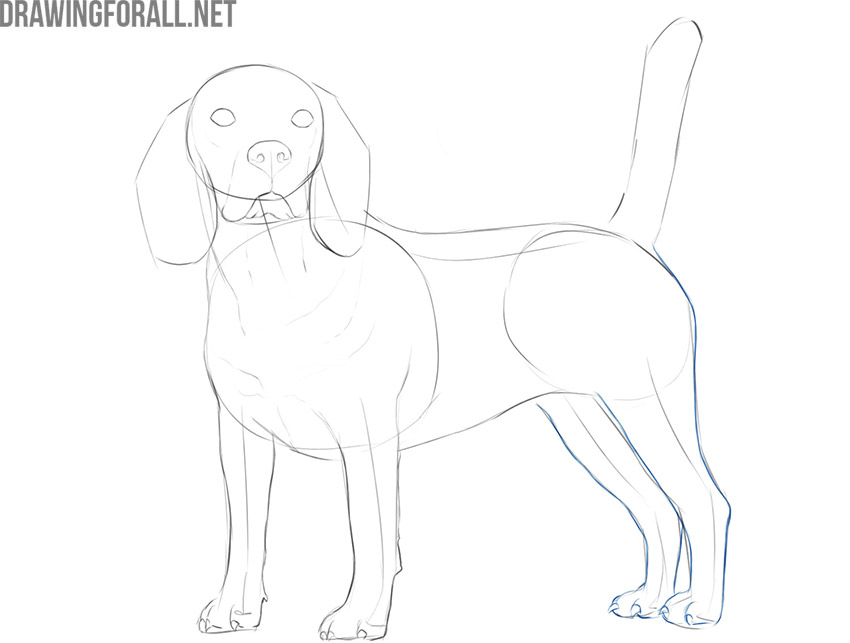 how to draw a dog realistic and easy