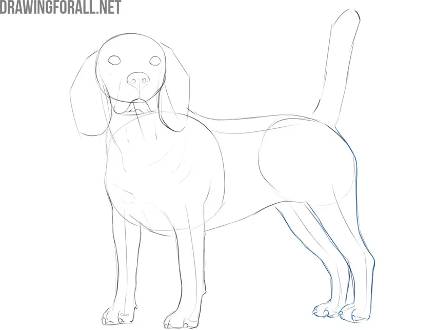 how to draw a dog realistic and easy