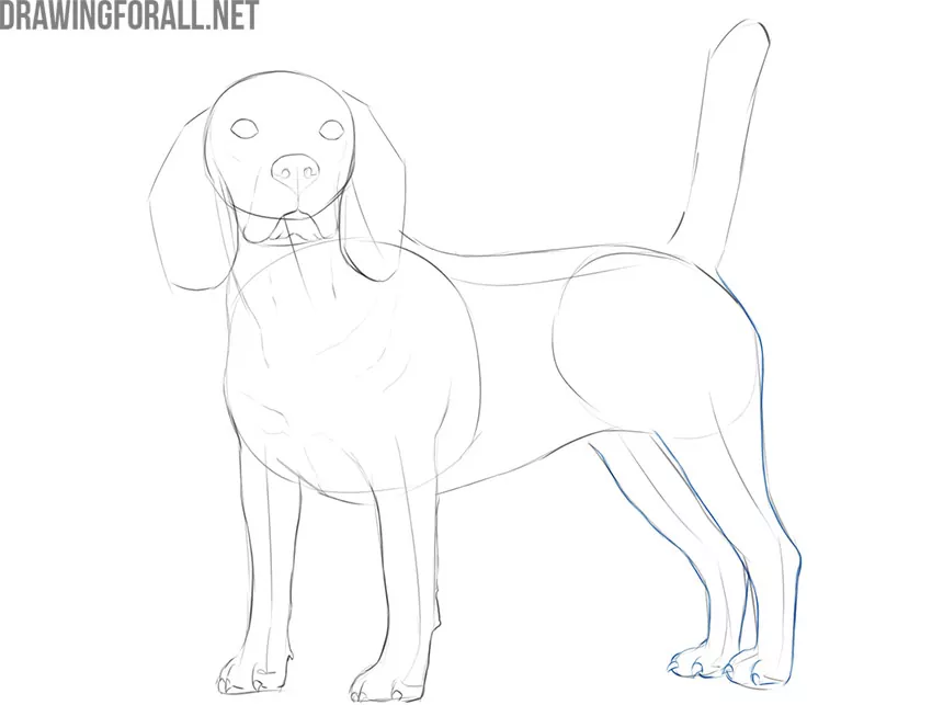 come disegnare un cane realistico e facile