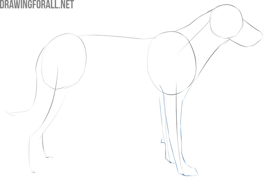  how to draw a dog simple and easy